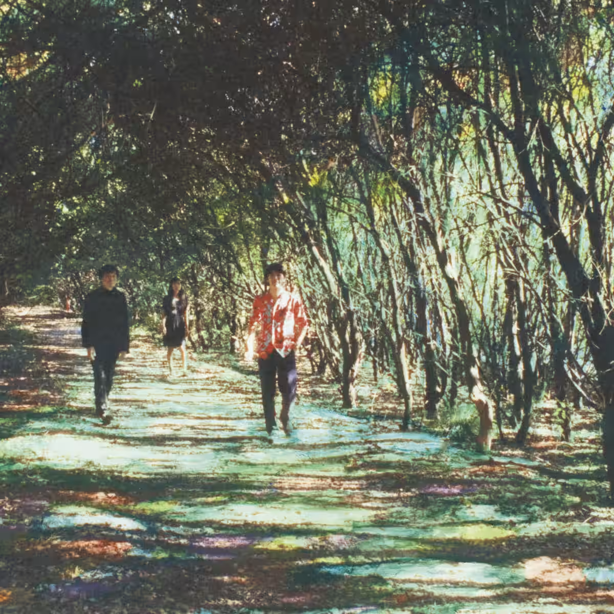 画像3
