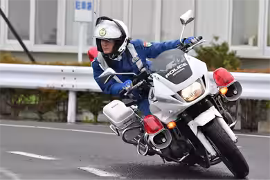 画像5