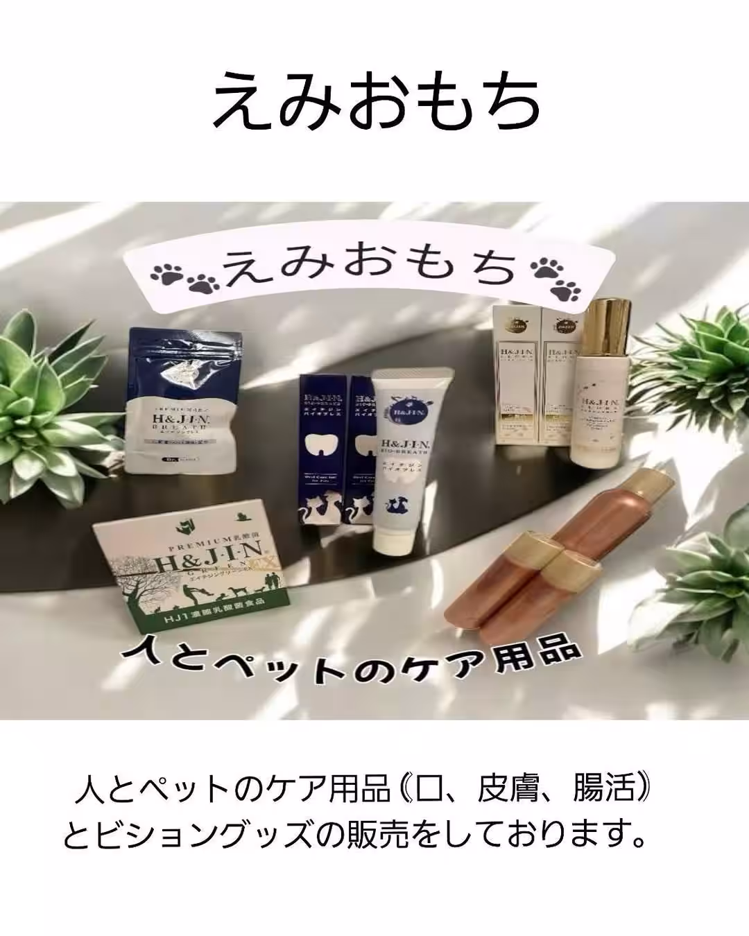 画像8