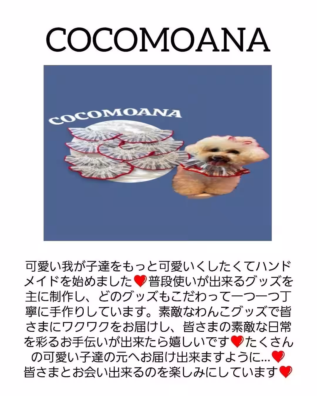 画像10