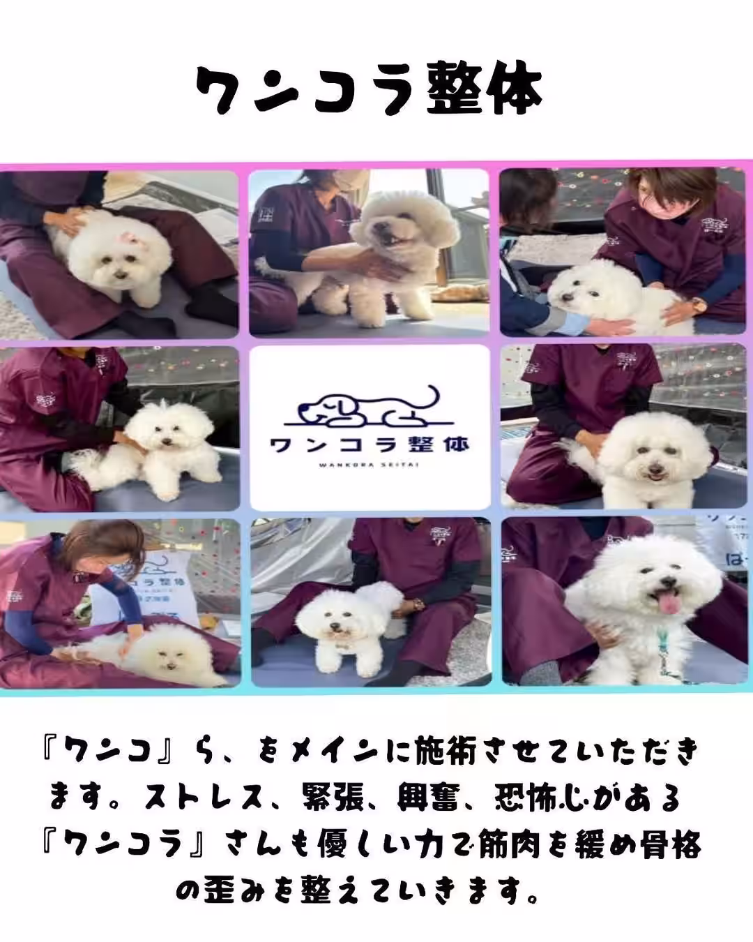 画像11