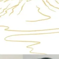 家族の絆を描いた物語