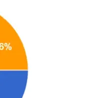 カーライフ調査