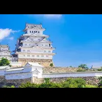 バイキング新社長就任