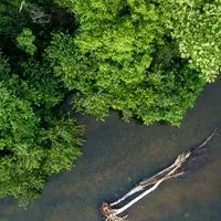 アマゾンの魅力