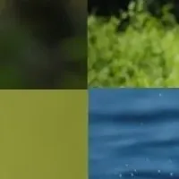 OM SYSTEMの新シリーズ