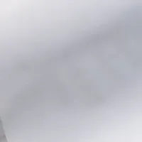 低温対応パラジウム膜