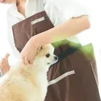 ペットトリマー講座