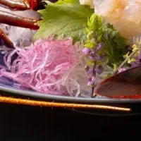 伊豆の伊勢海老