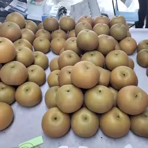 画像7
