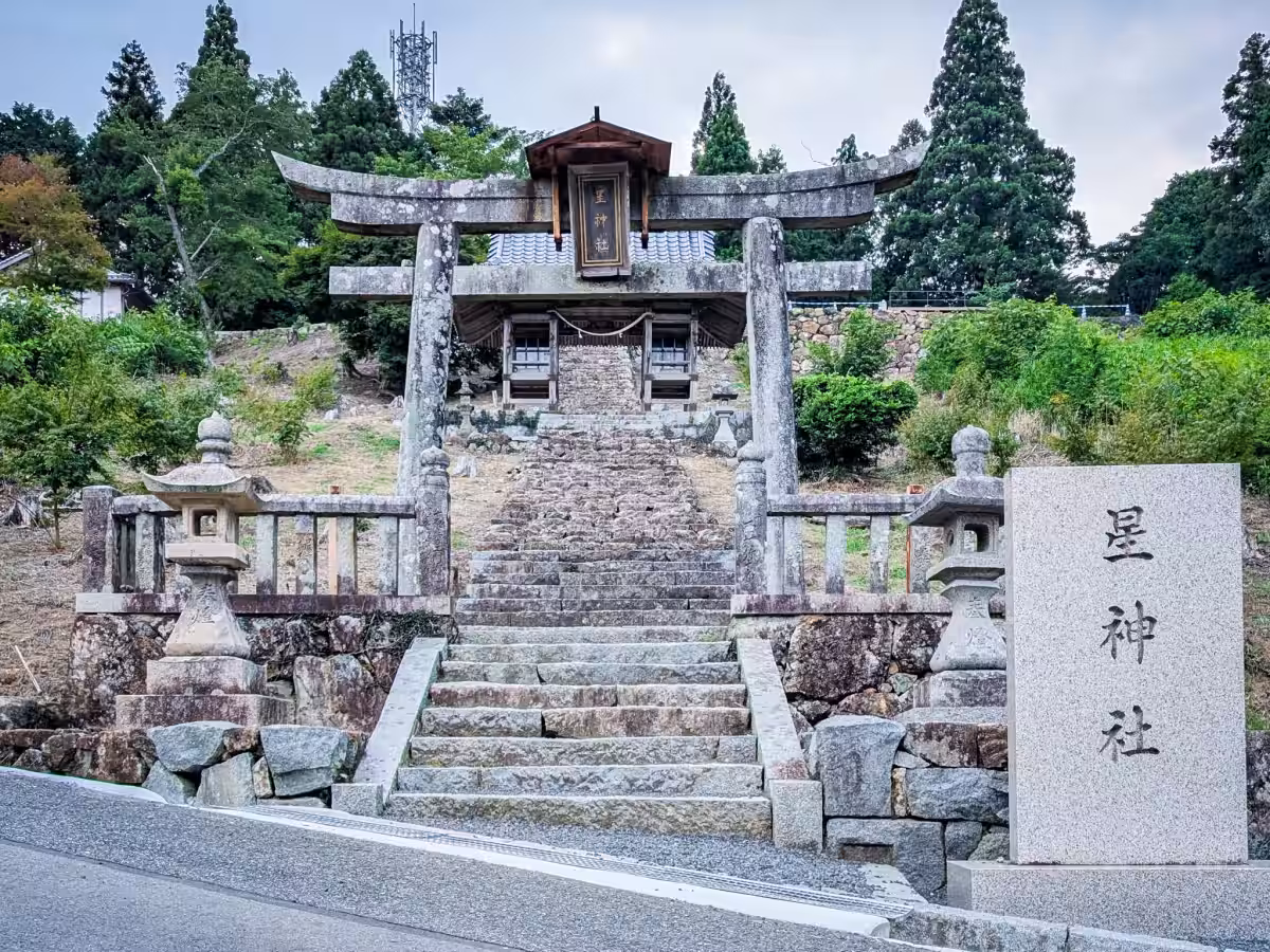 画像5