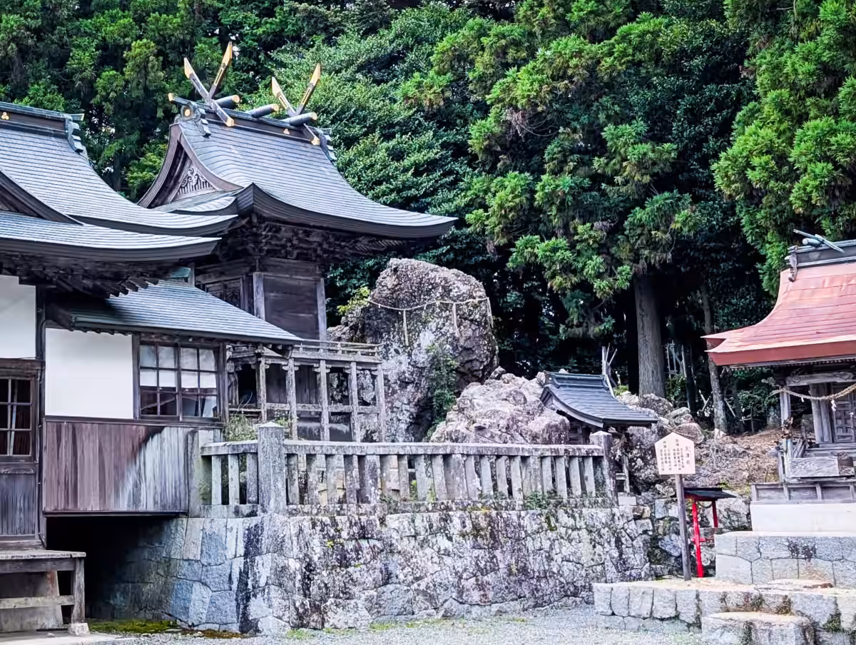 画像8