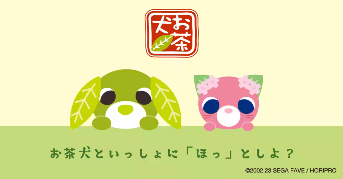 画像15