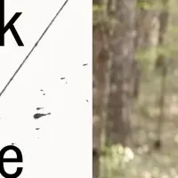 岡本啓の『ノックがあった』