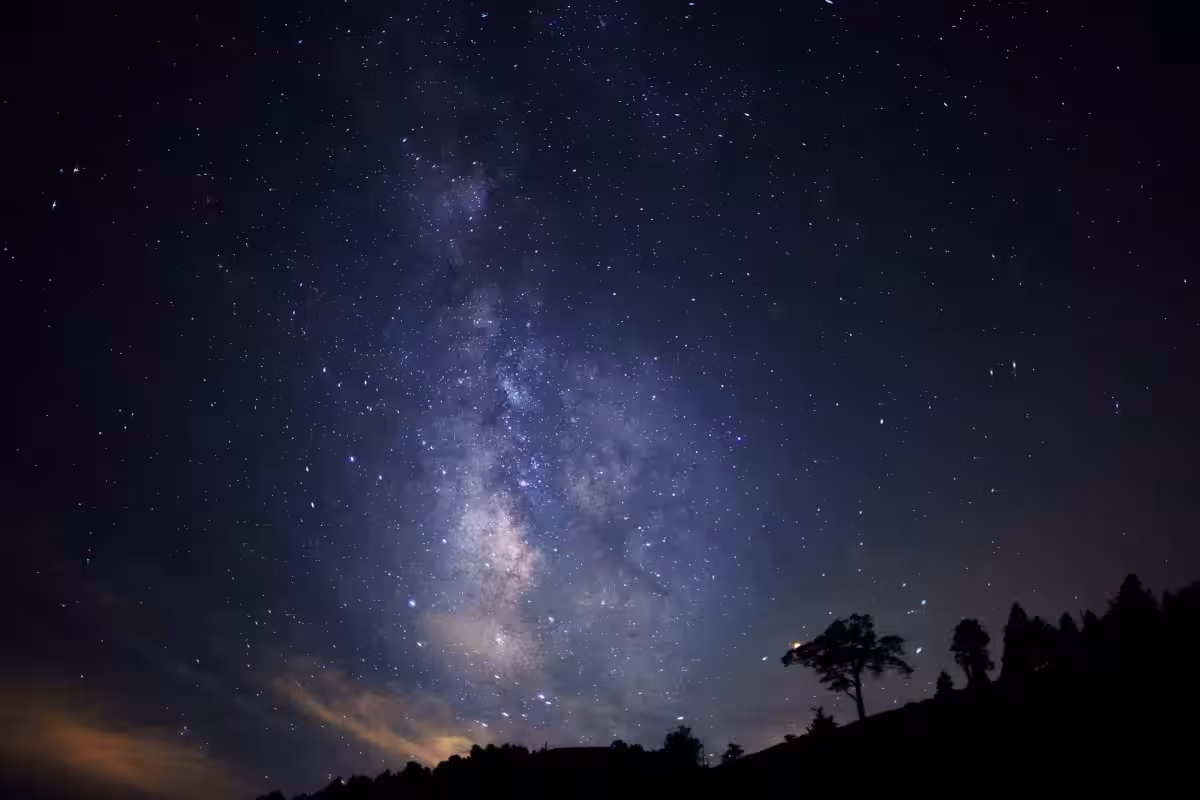 画像11