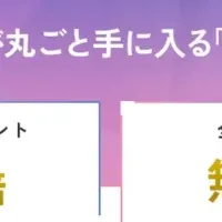 日本直販プレミアム