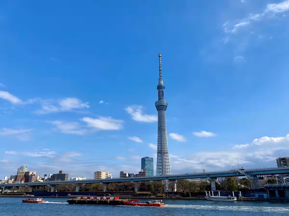 画像6