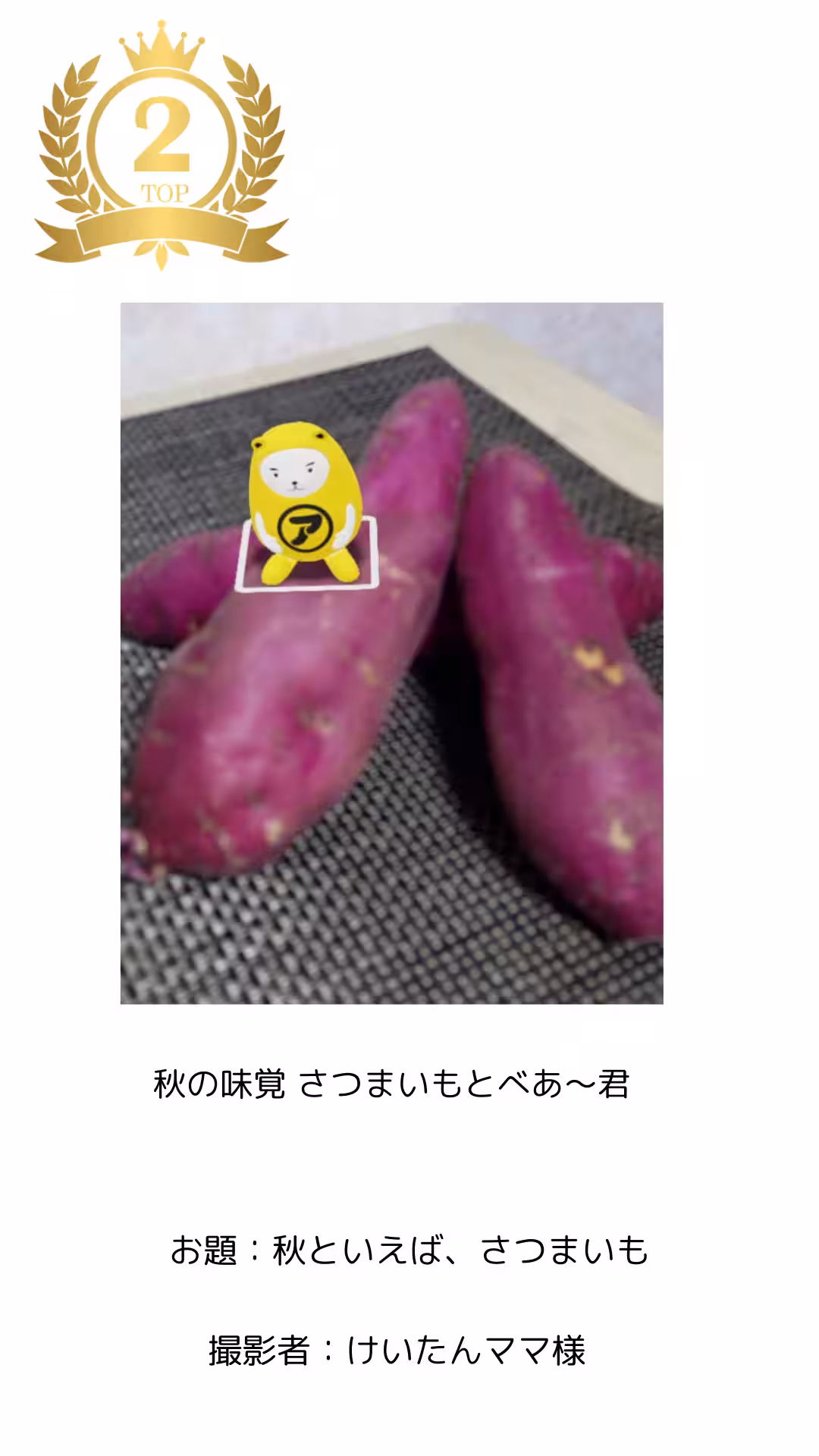 画像9