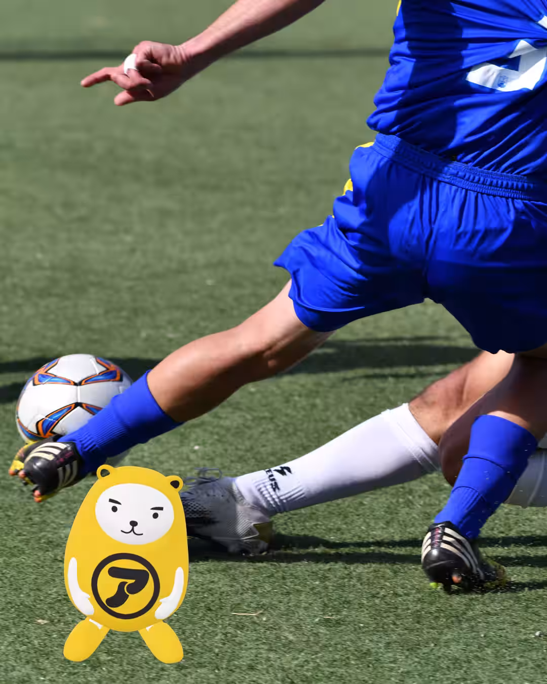 画像7