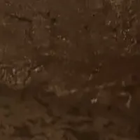 大阪の新スイーツ登場