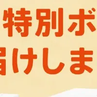 サマリーポケット 10周年