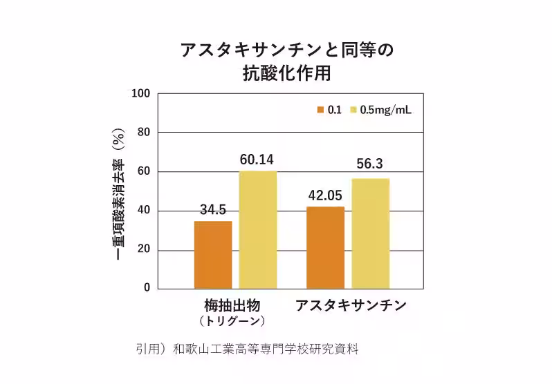 画像18