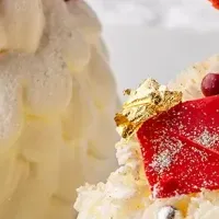 心温まるクリスマス体験