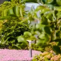 ゆりかもめコラボ企画