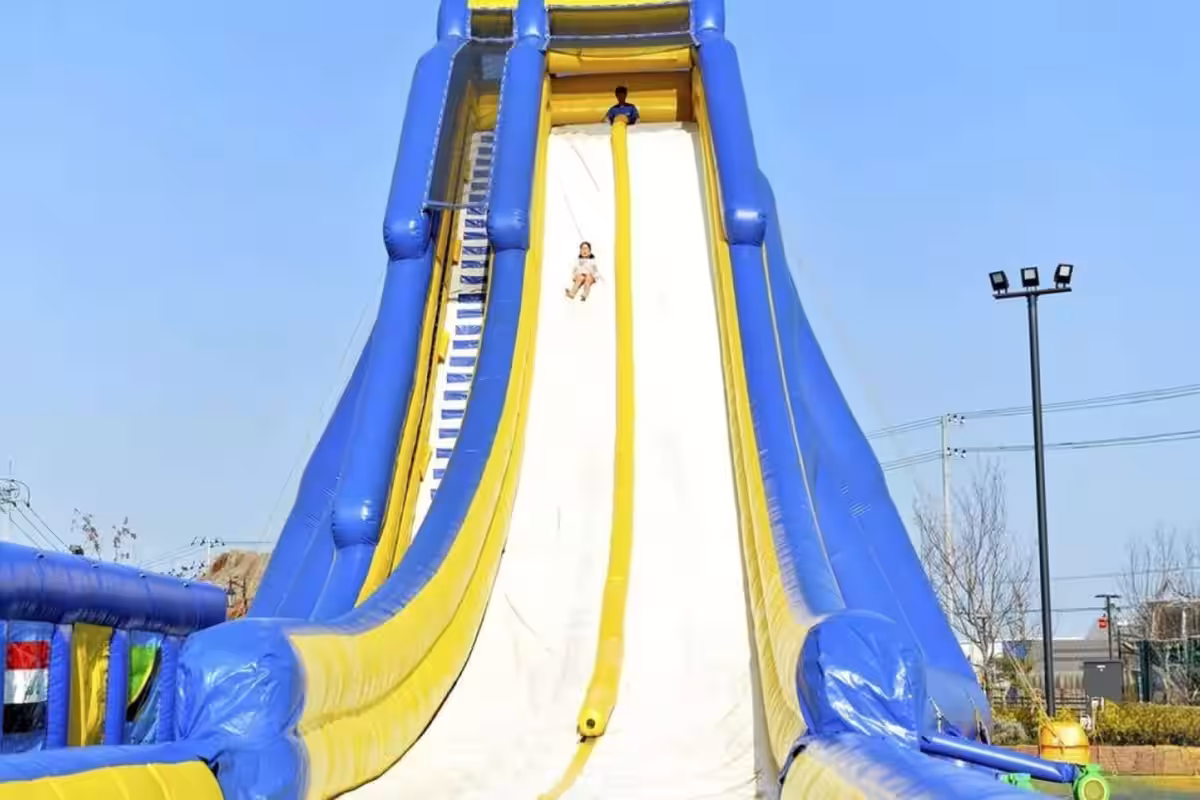 画像6
