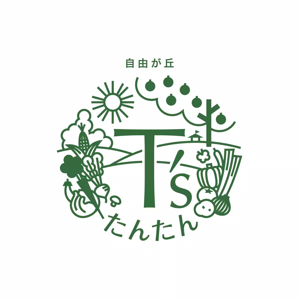 画像12
