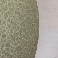 台湾の遠隔営農実験