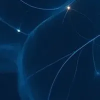 NIHとIdeaScaleの挑戦