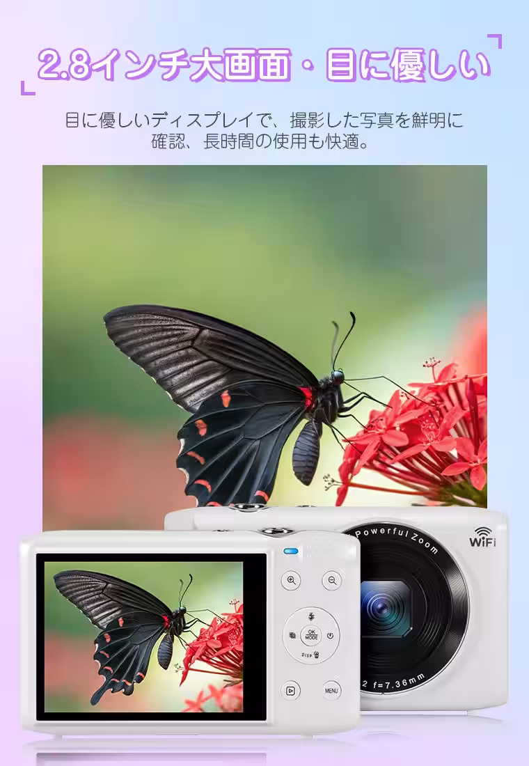 画像7