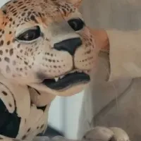 サウジアラビアの魅力