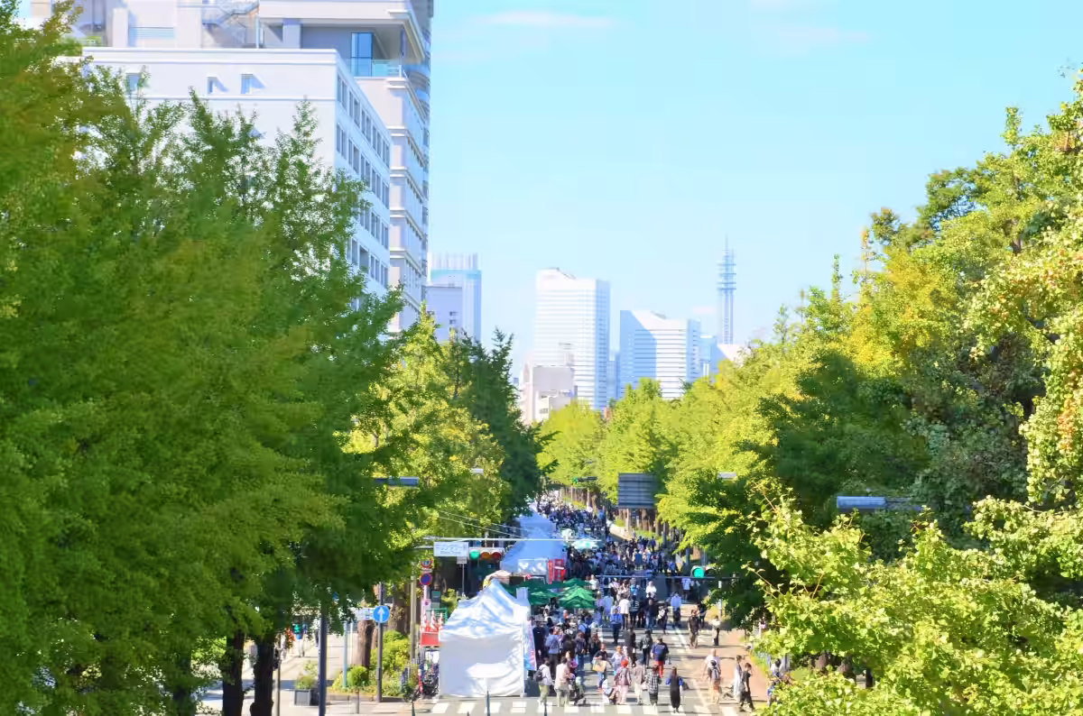 画像10