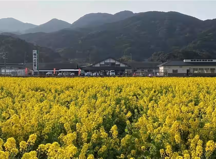 画像7