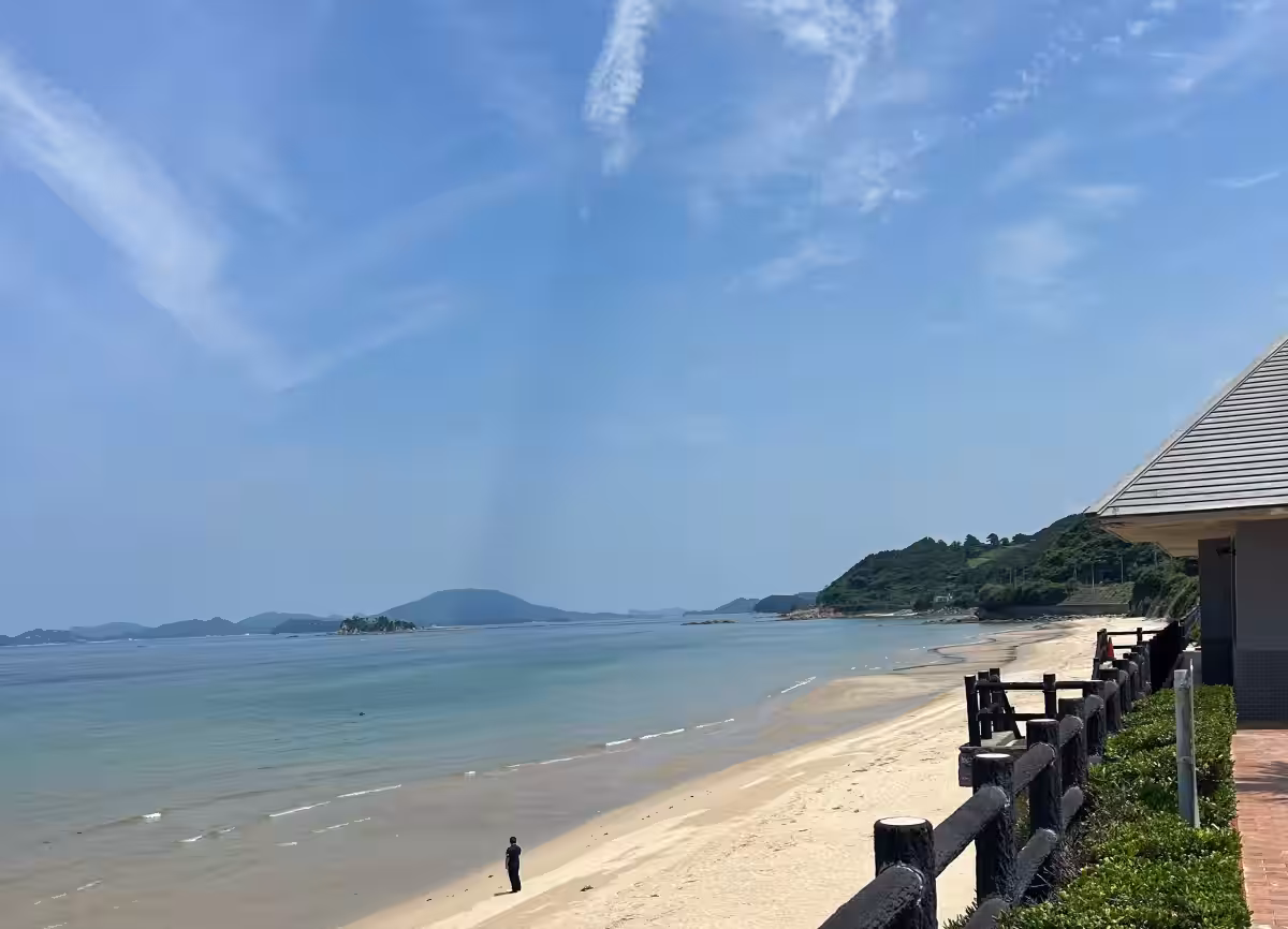 画像6