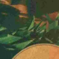 ハワイの夕日と音楽