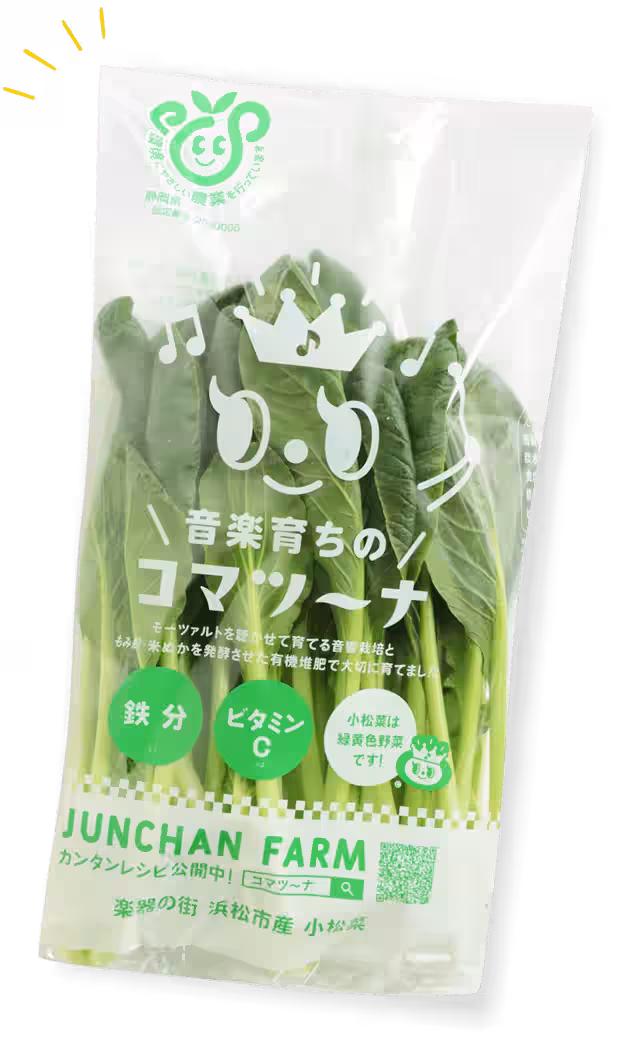 画像11