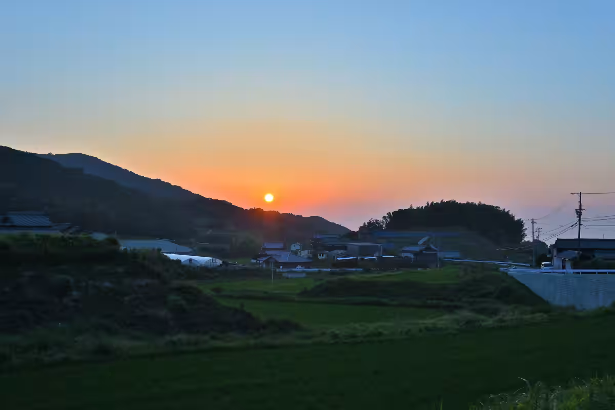 画像12
