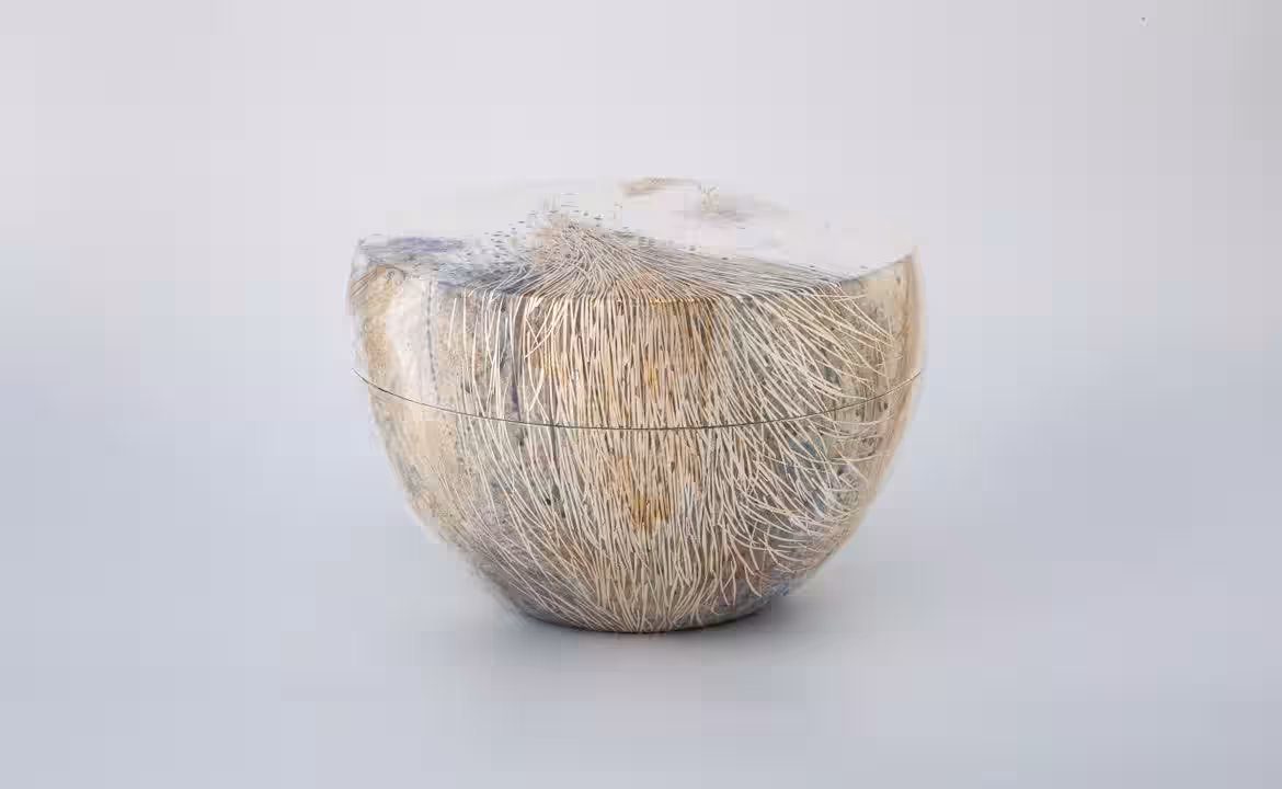 画像20