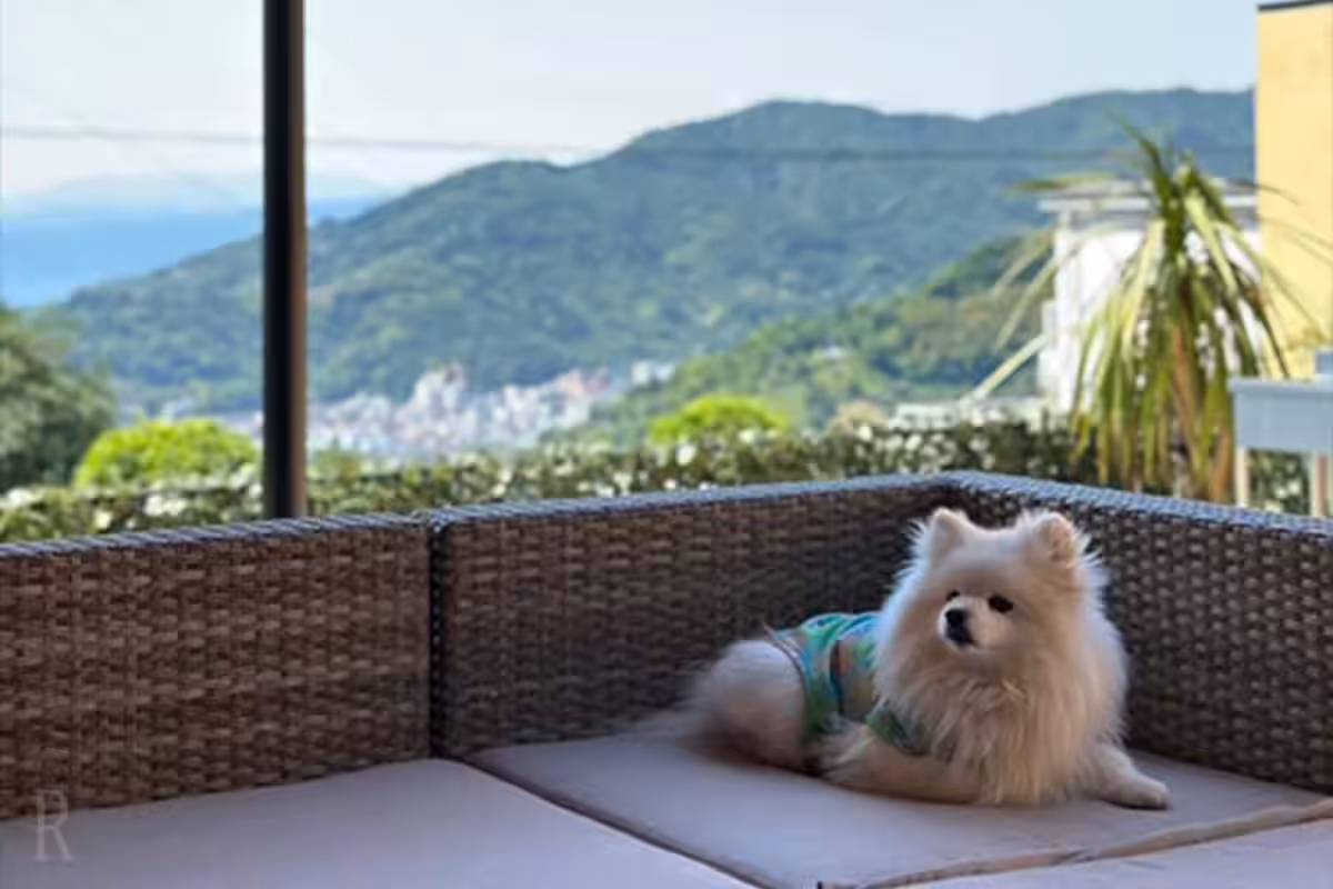 画像6