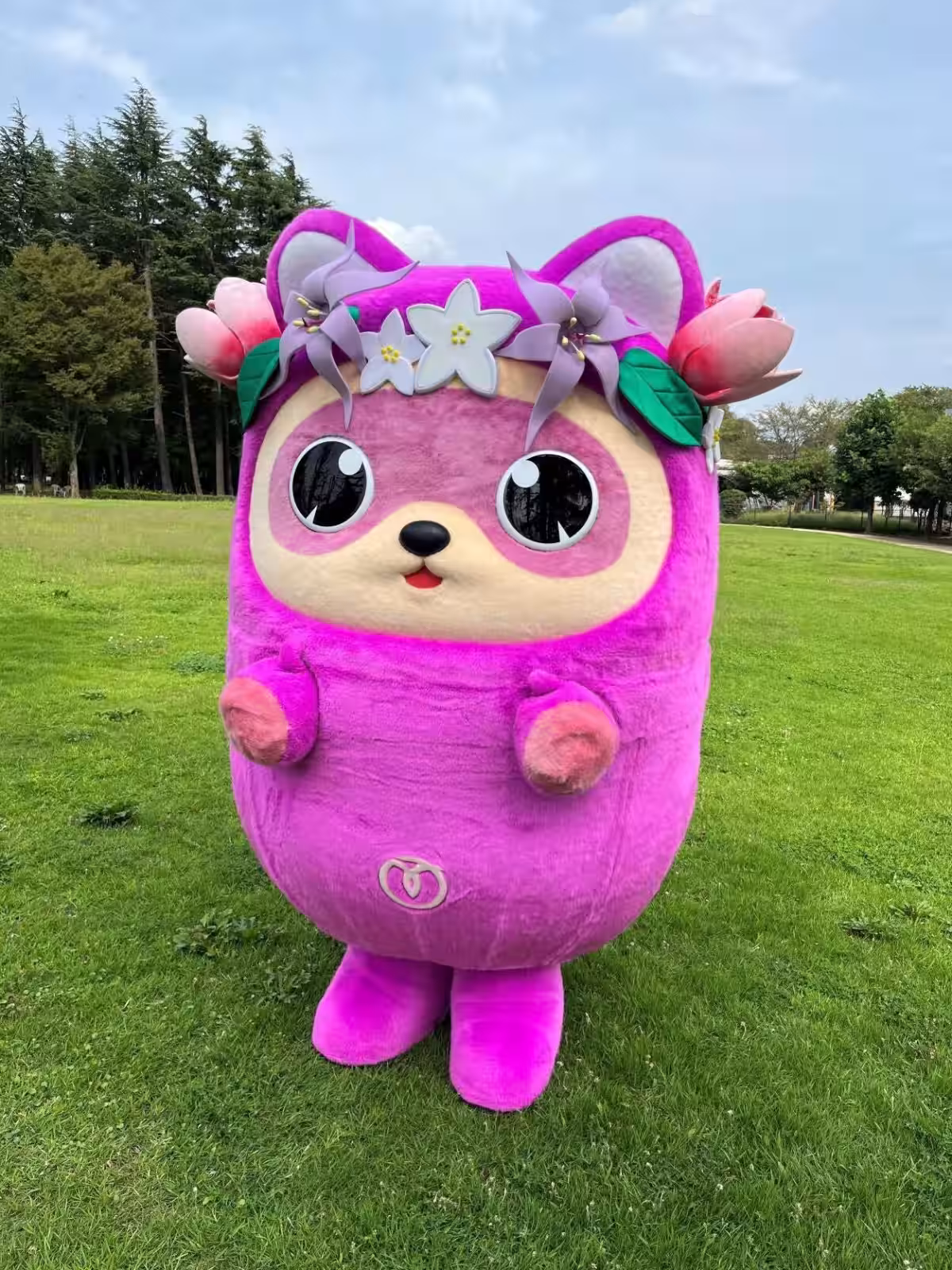 画像11