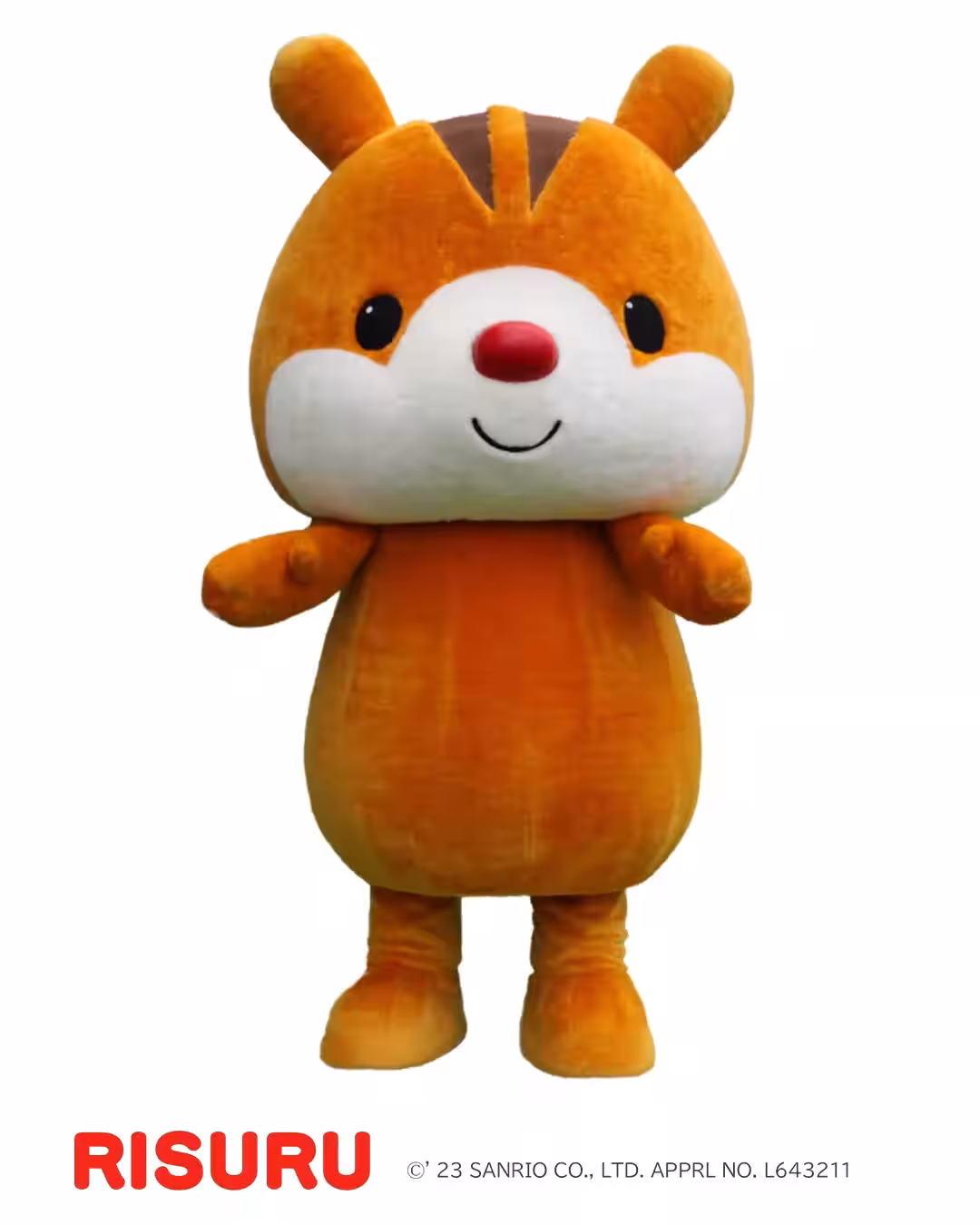 画像9