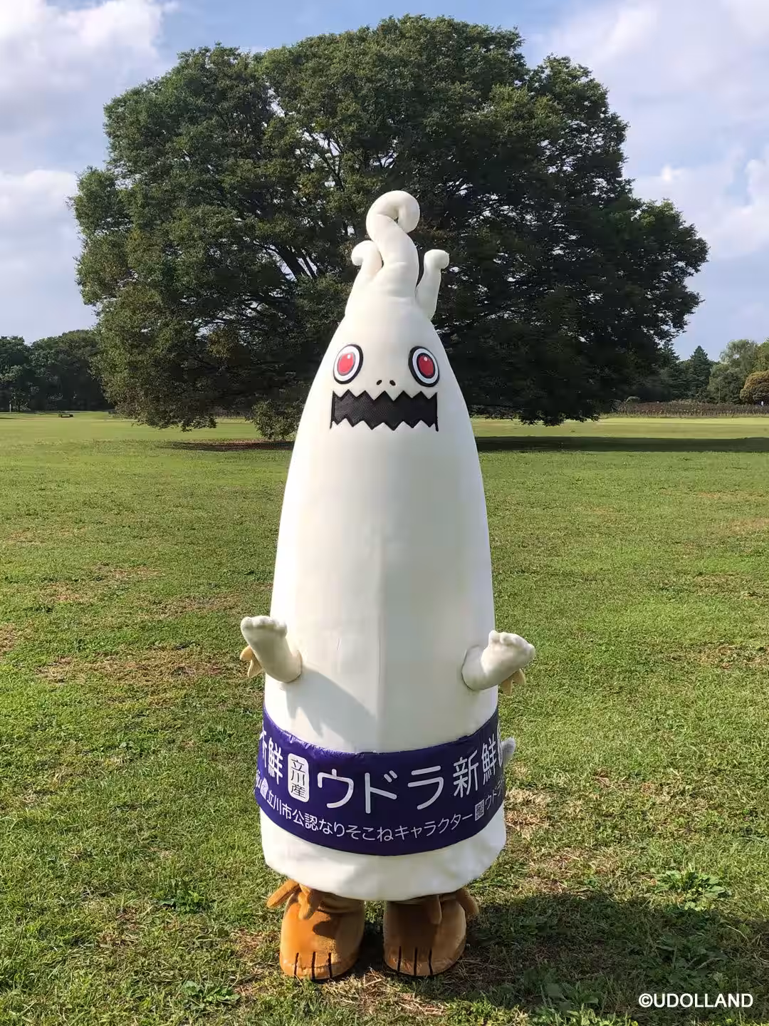 画像14