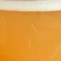 新感覚ビール登場