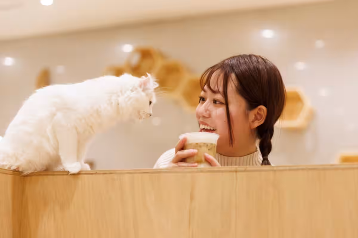 画像12