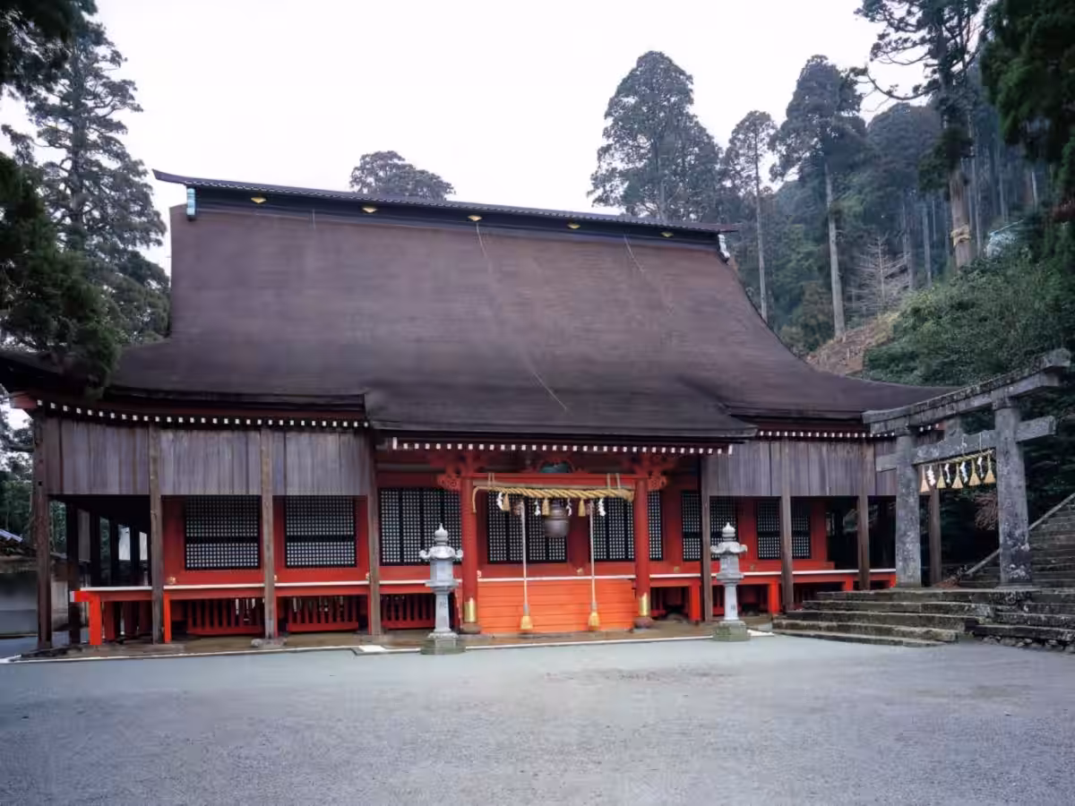 画像5