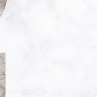 ユニコーン投資の新書