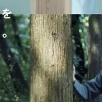 Nice Group Report 2025